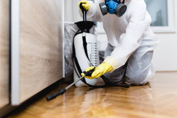 Trusted Scranton, PA Pest Control Experts