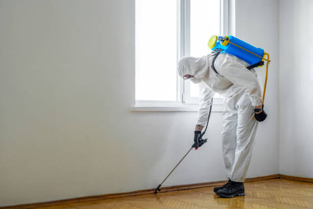 Best Emergency Pest Control  in Scranton, PA