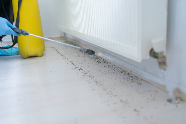 Best Affordable Pest Control Services  in Scranton, PA