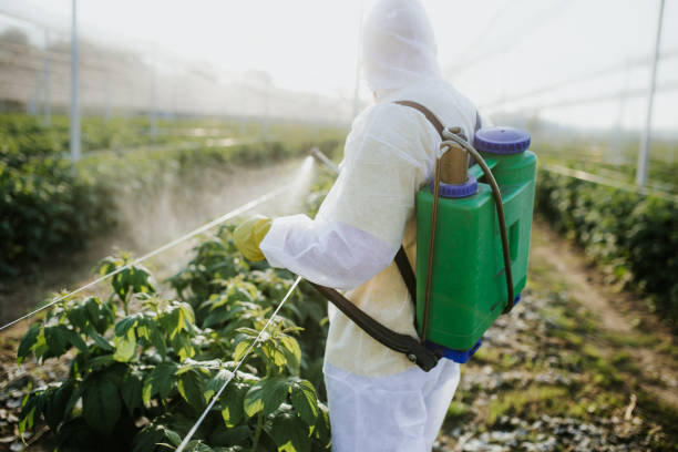  Scranton, PA Pest Control Pros